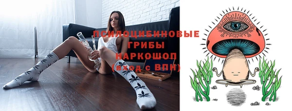 a pvp Инта