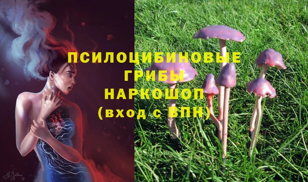 a pvp Инта