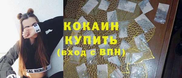 дурь Инсар