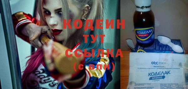 дурь Инсар
