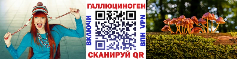 Псилоцибиновые грибы прущие грибы  MEGA ТОР  Иннополис 